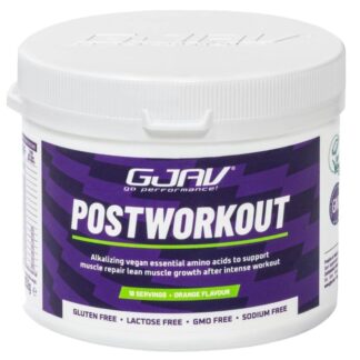 Gjav Postworkout - 261 gr