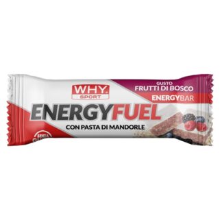 WHY SPORT ENERGY FUEL 1 barretta 30 gr