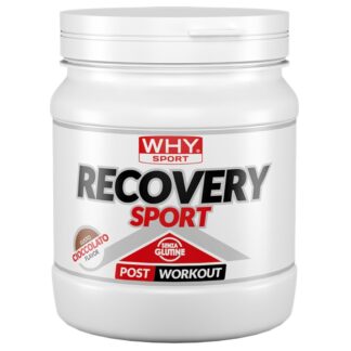 Why Sport Recovery Sport - 400 gr