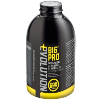 BIG ONE EVOLUTION BIG PRO 600 cpr
