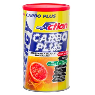 Proaction Carbo Plus Energy 530 gr Energetico con Bcaa Arginina e Maltodestrine