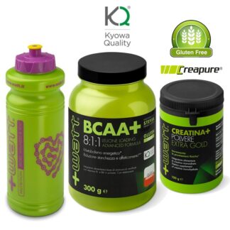 +WATT Ramificati BCAA+ POLVERE 8:1:1 KYOWA 300g AMINOACIDI 811 + CREATINA EXTRA