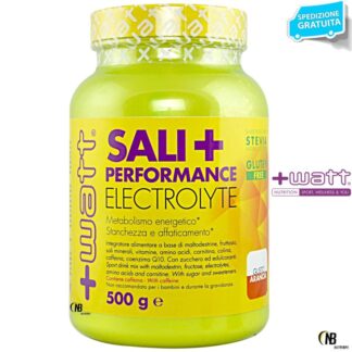 +WATT SALI+PERFORMANCE sali minerali POTASSIO MAGNESIO MALTODESTRINE+VITAMINE