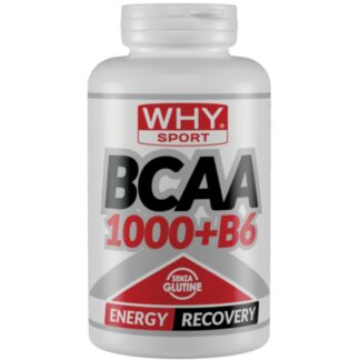 Why Bcaa 1000 300 cpr Aminoacidi In Compresse + Vitamina  b6