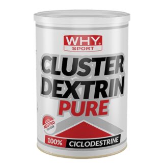 WHY SPORT Cluster Dextrine Pure 500 gr