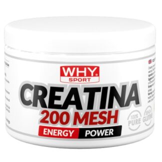 WHY SPORT CREATINA 200 MESH 200 gr