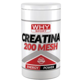 WHY SPORT CREATINA 200 MESH 500 gr