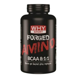 WHY SPORT Forged Amino Bcaa 8:1:1 Kyowa 150 cpr.