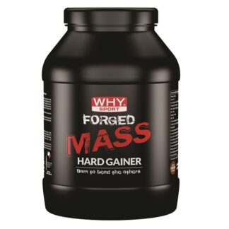 WHY SPORT Forged Mass 1 Kg Kyowa Quality