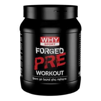 WHY SPORT Forged Pre Workout 300 gr
