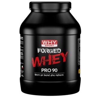 WHY SPORT FORGED WHEY PRO 90 900 gr