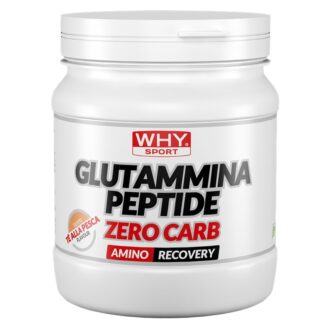 WHY SPORT GLUTAMMINA PEPTIDE ZERO CARB - 330 gr