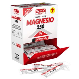 WHY SPORT MAGNESIO 250  B6 1 bustina da 10 ml