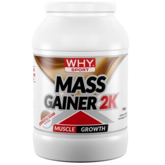 WHY SPORT MASS GAINER 2K 2 kg Gainer di Proteine Del Siero + Vitamine