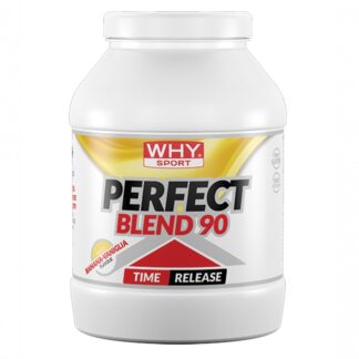 WHY SPORT PERFECT BLEND 90 750 gr