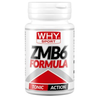 WHY SPORT ZMB6 FORMULA 90 cpr