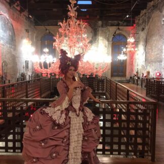 1700’s COSTUME MICHELLE