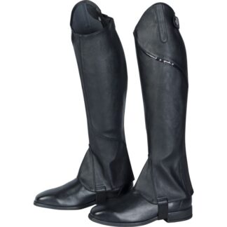 Harry's Horse Minichaps Melody