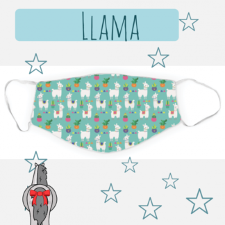 Dreamers & Schemers Llama Mask