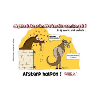 HB Stable Plate Beware Stallion