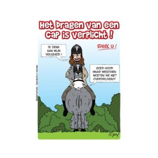 HB Stable Plate Helmet