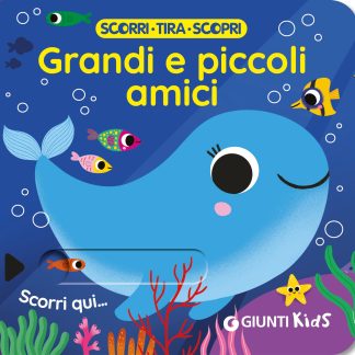 Chi è il più grande?