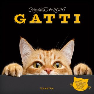 CALENDARIO GATTI 2026 da parete (30 x 30 cm)