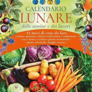 CALENDARIO LUNARE 2026 da parete (26,5 X 38,5 cm)